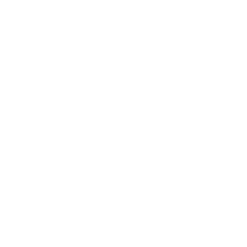 Seoliz Digital Marketing